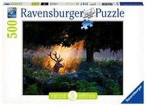 Picture of Puzzle 500 Magiczny strumień światła