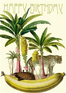 Obrazek Karnet B6 z kopertą Urodziny Banan