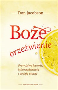 Obrazek Boże orzeźwienie Prawdziwe historie, które zadziwiają i dodają otuchy