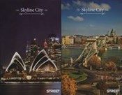 Książka : Brulion A4...