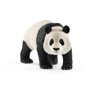 Obrazek Panda wielka samiec