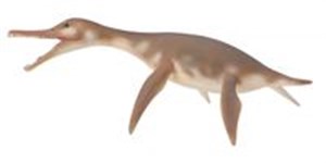 Obrazek Dinozaur dolichorhynchops