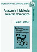 Anatomia i... - Klaus Loeffler -  foreign books in polish 