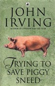 Trying to ... - John Irving -  foreign books in polish 