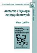 Anatomia i... - Klaus Loeffler -  books from Poland