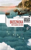 Polska książka : Wody głębo... - Anna Brzezińska