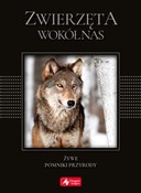 Zwierzęta ... - Opracowanie Zbiorowe -  Polish Bookstore 