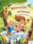 Niezwykłe ... - Aneta Grabowska -  books from Poland