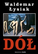 Polska książka : Dół - Waldemar Łysiak