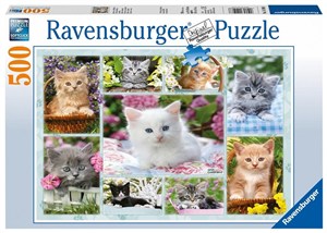 Picture of Puzzle 500 Kociaki w koszykach