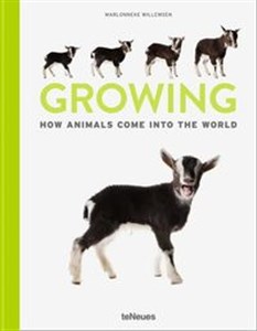 Picture of Growing How Animals come into the World