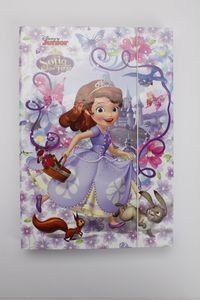 Picture of Teczka A4 z gumką