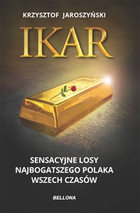Obrazek Ikar