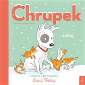 polish book : Chrupek i ... - David Melling