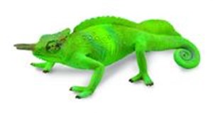 Picture of Kameleon górski L