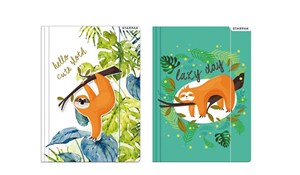 Obrazek Teczka z gumką A4 Leniwiec