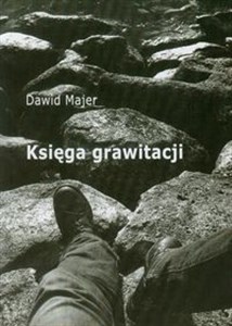 Picture of Księga grawitacji