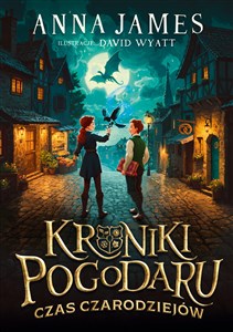 Picture of Kroniki Pogodaru Czas czarodziejów