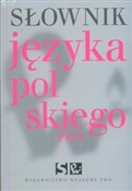 Słownik ję... - Lidia Drabik -  Polish Bookstore 