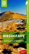 Polska książka : Bieszczady... - Krzysztof Plamowski
