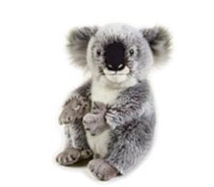 Obrazek Koala