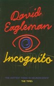 polish book : Incognito - David Eagleman