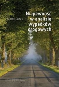 Obrazek Niepewność w analizie wypadków drogowych