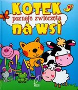 polish book : Kotek pozn... - Urszula Kozłowska