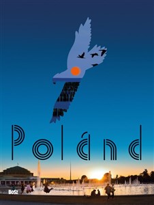 Picture of Polska wersja angielska