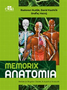 Obrazek Memorix Anatomia