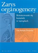 polish book : Zarys orga... - Zofia Bielańska-Osuchowska