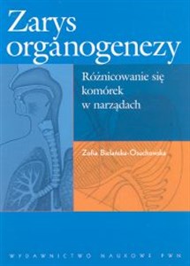 Obrazek Zarys organogenezy Różnicowanie się komórek w narządach