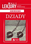 Polska książka : Dziady - Adam Mickiewicz