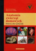 Anatomia z... - Horst Erich Konig, Hans-Georg Liebich -  Książka z wysyłką do UK