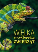 Zobacz : Wielka enc... - Opracowanie Zbiorowe