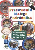 Przewodnik... - Agata Grabowska -  books in polish 