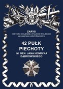Polska książka : 42 pułk pi... - Przemysław Dymek