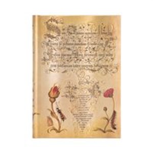 Picture of Notes Flemish Rose Midi linia