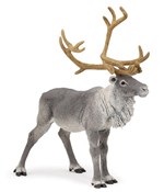 Renifer -  foreign books in polish 