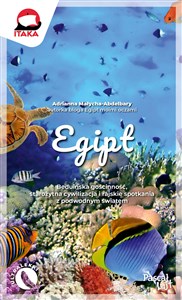 Obrazek Egipt
