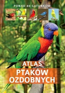 Picture of Atlas ptaków ozdobnych