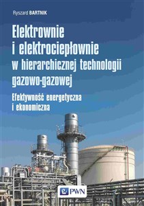 Obrazek Elektrownie i elektrociepłownie w hierarchicznej technologii gazowo-gazowej Efektywność energetyczna i ekonomiczna