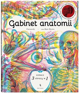 Obrazek Gabinet anatomii