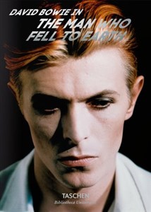 Obrazek Bowie Man Who Fell to Earth