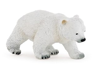 Picture of Niedźwiedź polarny młody