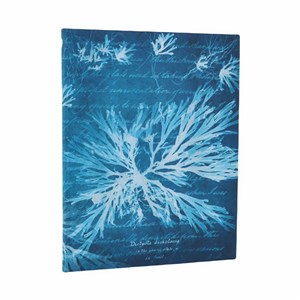 Picture of Notatnik Sea Flowers Ultra linia