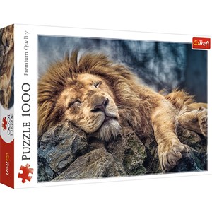 Obrazek Puzzle 1000 Śpiący lew