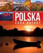 Polska Cud... - Anna Willman -  foreign books in polish 