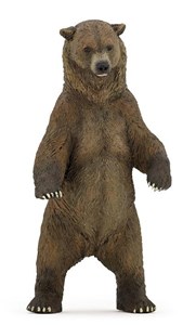 Obrazek Niedźwiedź Grizzly