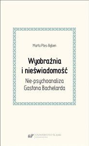 Obrazek Wyobraźnia i nieświadomość. Nie-psychoanaliza...